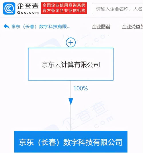 基礎軟件服務 數字化時代的基石與創新引擎